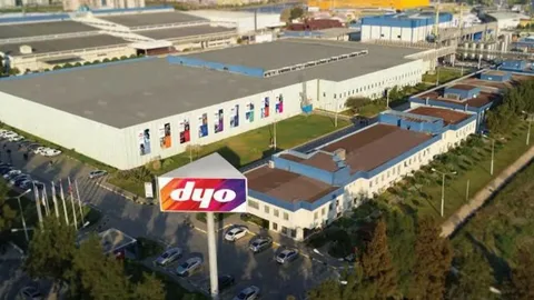 Dyo Boya, Lokavt Kararıyla Gündemde