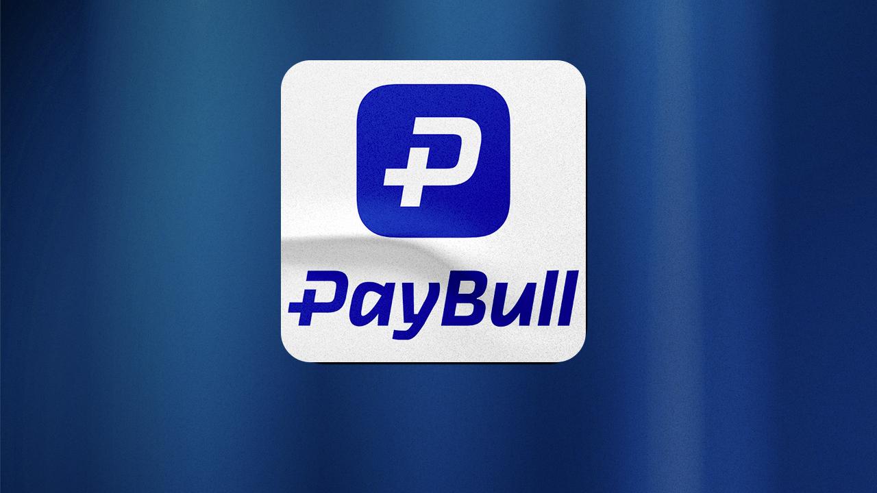 Paybull'a el konuldu, 25 kişi gözaltına alındı