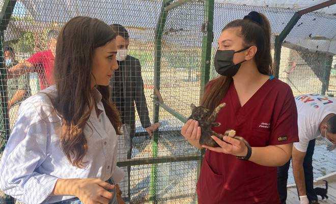 Yağmur Tanrısevsin'den sahipsiz hayvanlara destek